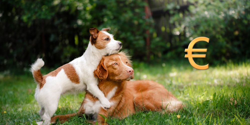 Wie viel kostet ein Hund im Monat?