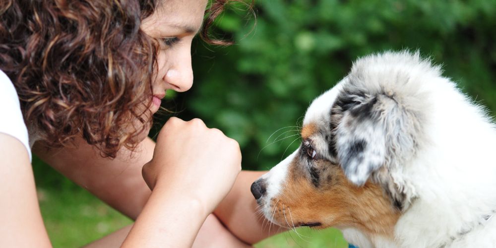Die Wissenschaft der Hundeemotionen: Wie man die Stimmung seines Hundes liest