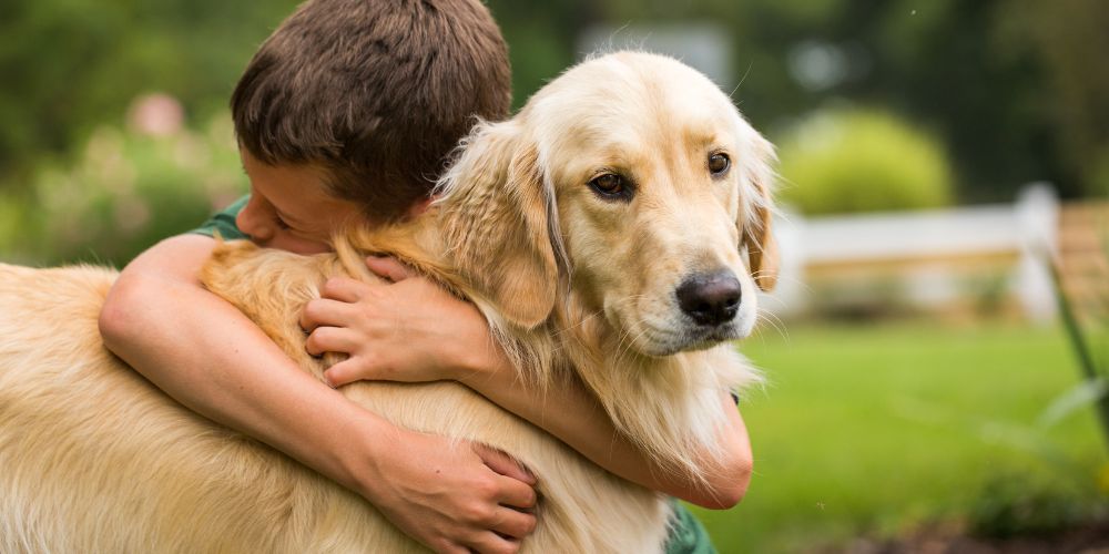 Hunde und Kinder: Wie man eine sichere und harmonische Beziehung fördert
