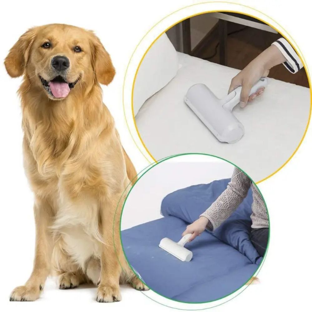 Die Fusselrolle für Hunde ist vielfältig einsetzbar, ob auf dem Bett oder anderen Oberflächen