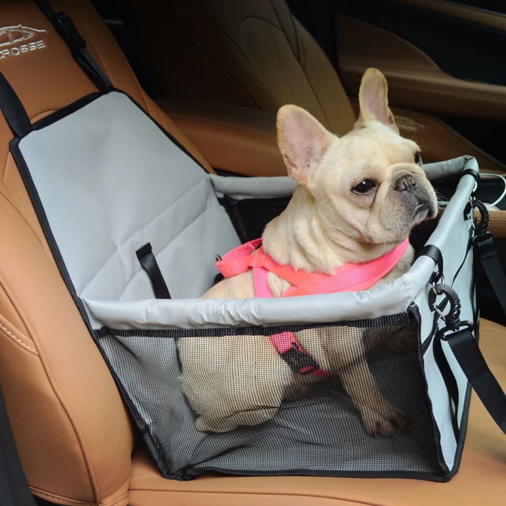 DriveGuard© Autositz für Hunde