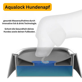Aqualock Hundenapf - Schlauwiewau